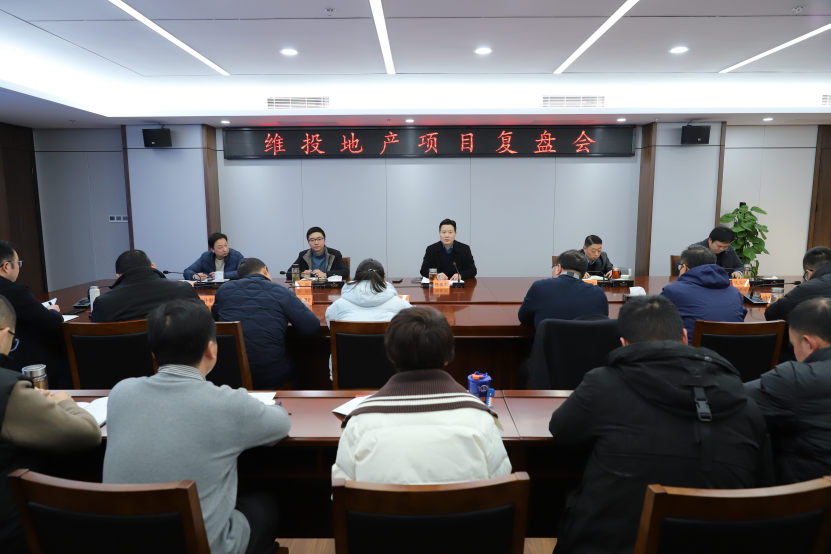 錘煉核心競爭力 打造區(qū)域領(lǐng)先地產(chǎn)國企標(biāo)桿——維投地產(chǎn)召開項目復(fù)盤會